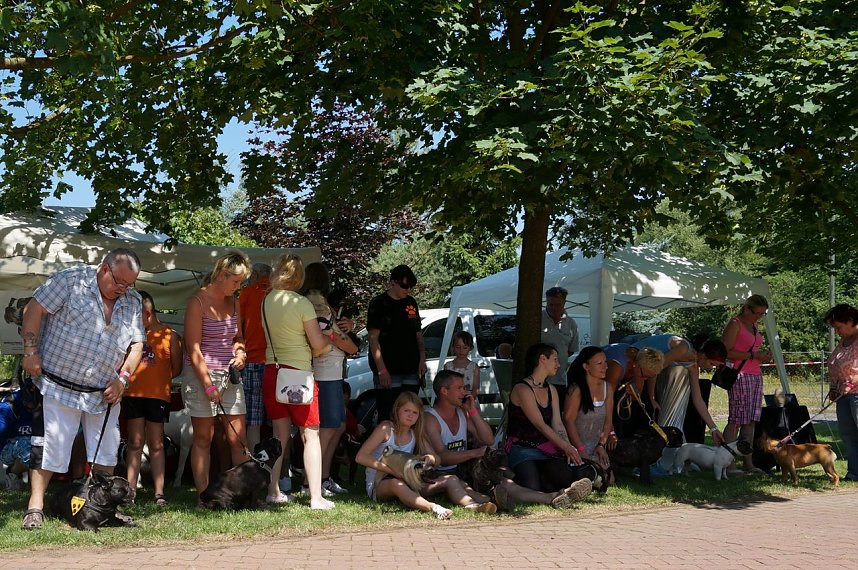 Bulldoggen aller L&auml;nder....