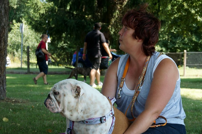 Bulldoggen aller L&auml;nder....