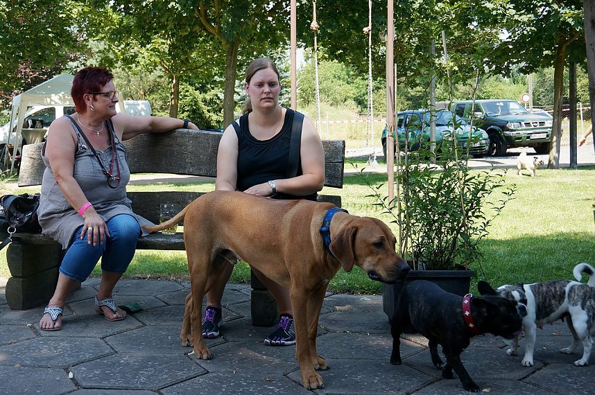 Bulldoggen aller L&auml;nder....