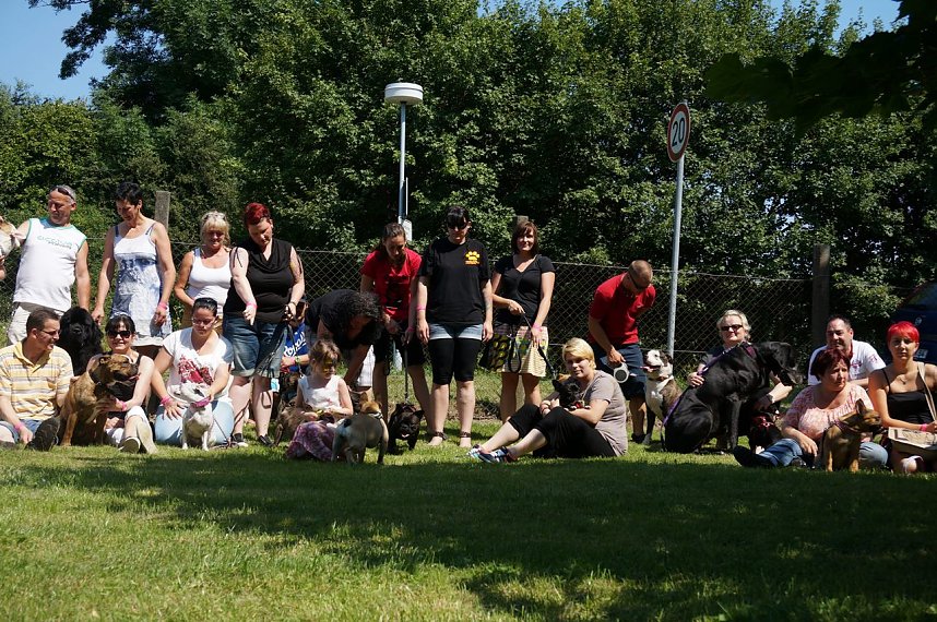 Bulldoggen aller L&auml;nder....