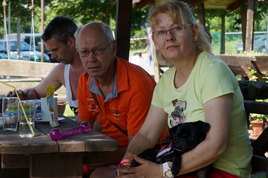 Bulldoggen aller L&auml;nder....