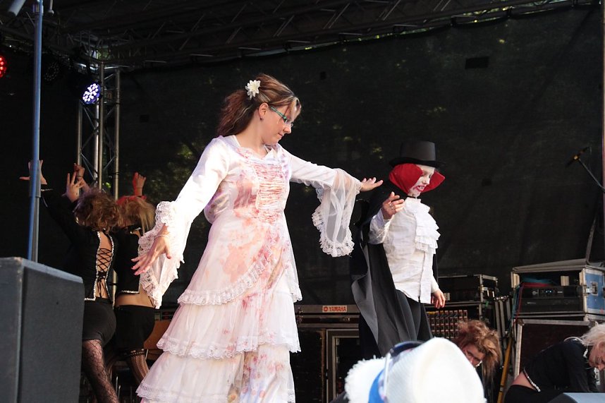 Sachsenanhalt-Tag in Wernigerode