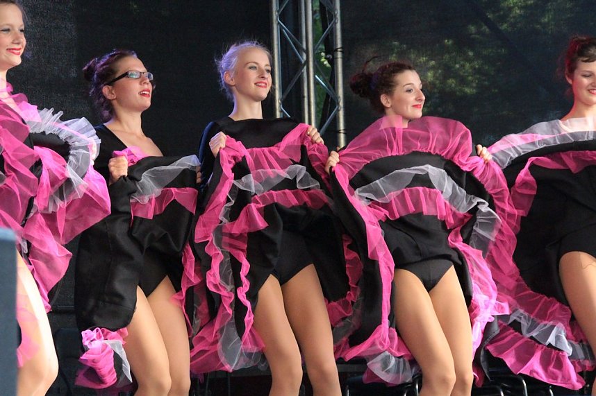 Sachsenanhalt-Tag in Wernigerode