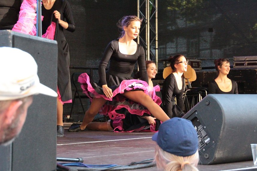 Sachsenanhalt-Tag in Wernigerode