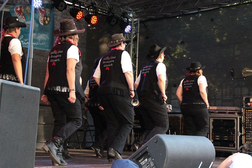 Sachsenanhalt-Tag in Wernigerode