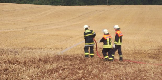 Fl&auml;chenbrand bei Herreden