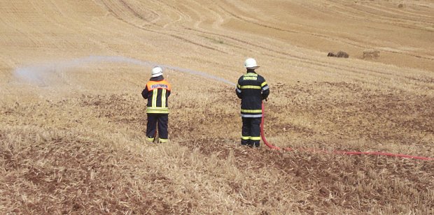 Fl&auml;chenbrand bei Herreden