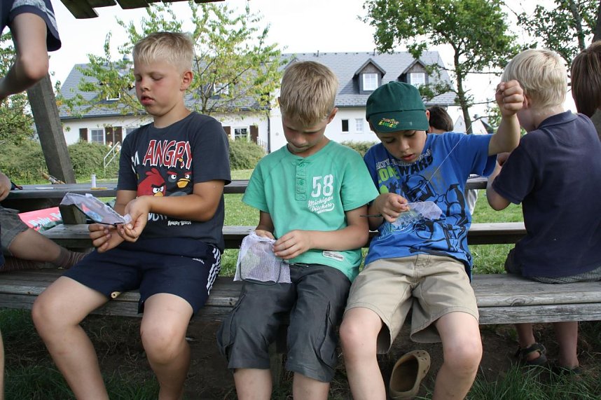 Neues aus Hoheneiche