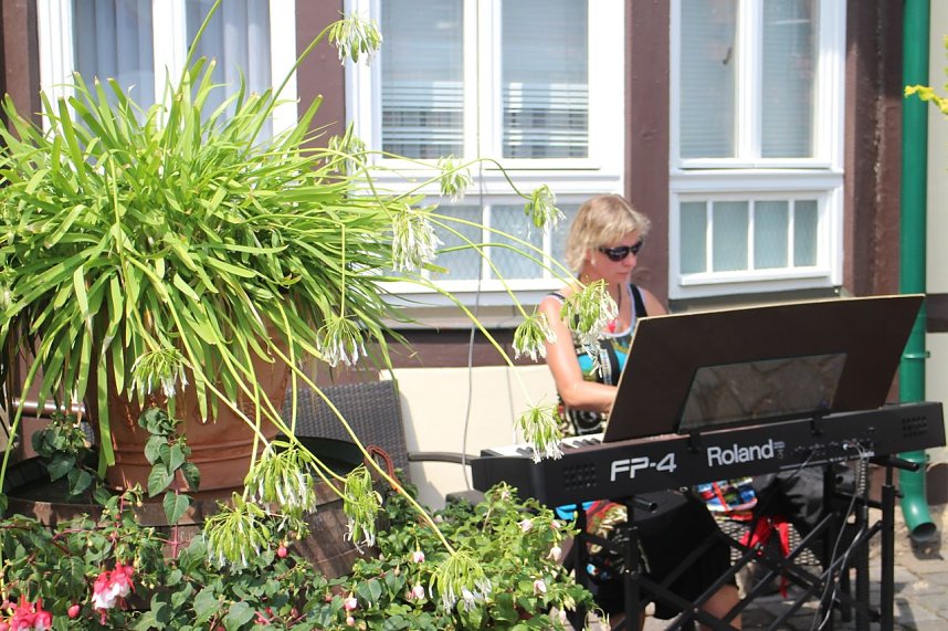 Volle Bl&uuml;tenpracht