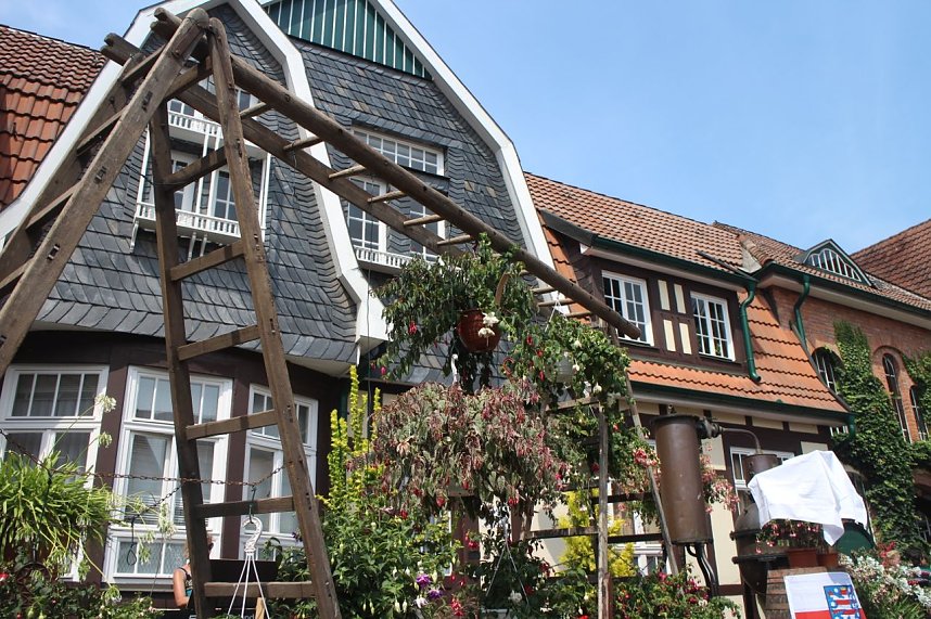 Volle Bl&uuml;tenpracht