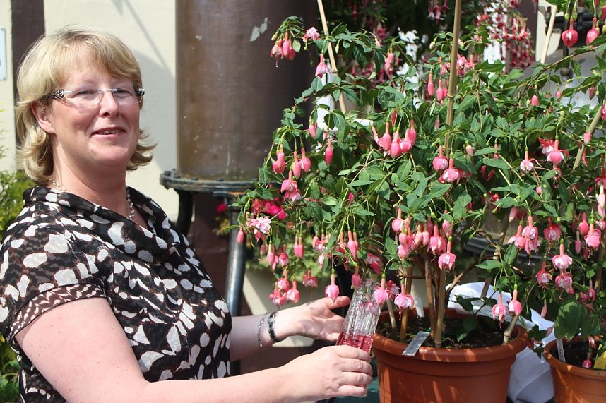 Volle Bl&uuml;tenpracht