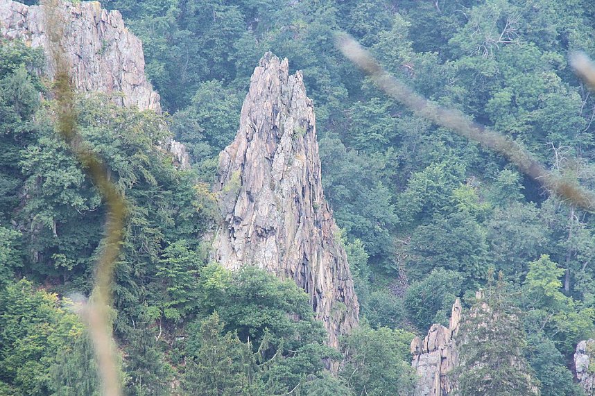 Tierparkfest auf dem Hexentanzplatz