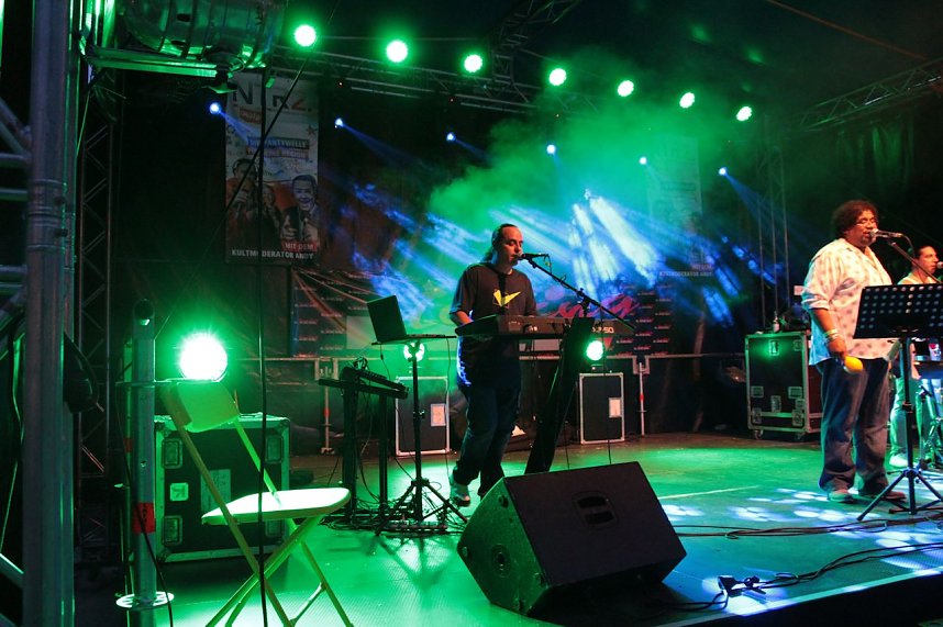 Altstadtfest 2014 - der Samstagabend