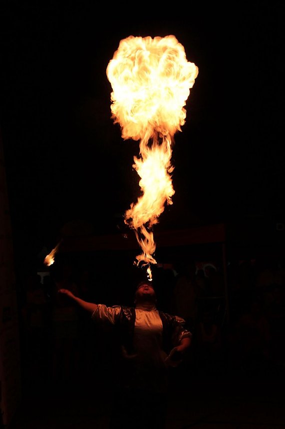 Altstadtfest 2014 - der Samstagabend