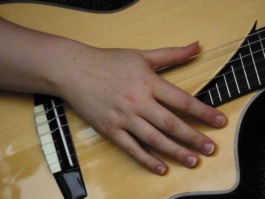 Altstadtfest 201 - der Sonntagnachmittag