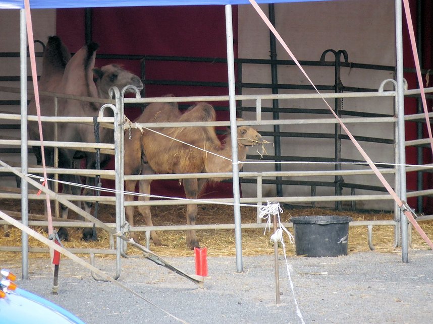 Letzte Vorbereitungen