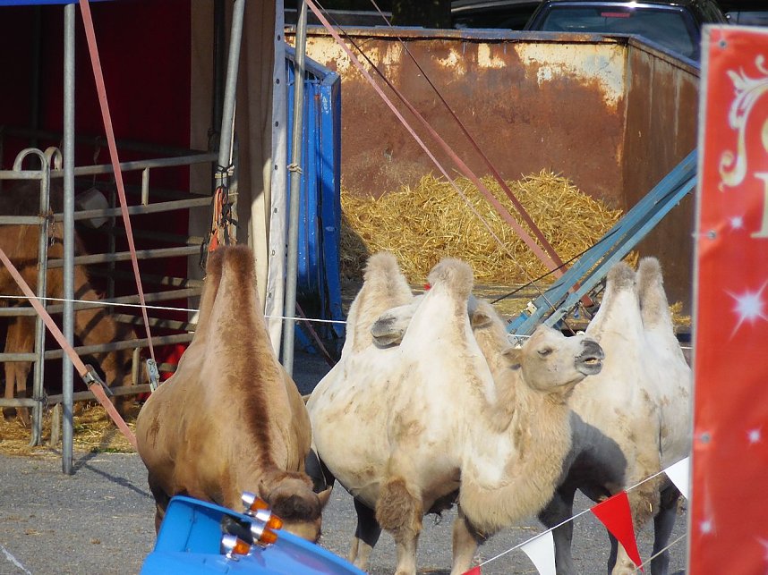 Letzte Vorbereitungen