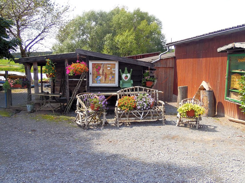 Knoblauchfest in Sophienhof