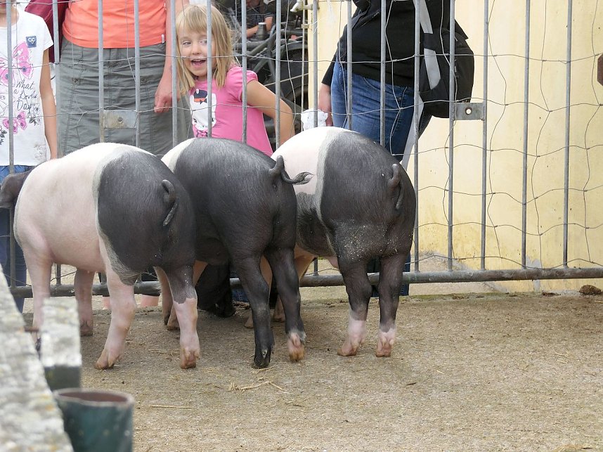 Knoblauchfest in Sophienhof