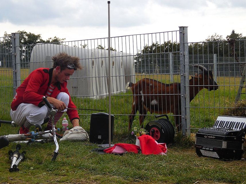 Knoblauchfest in Sophienhof