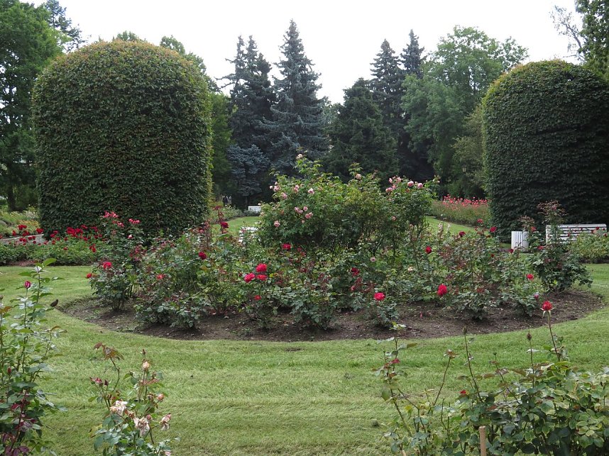 Ortstermin im Rosengarten
