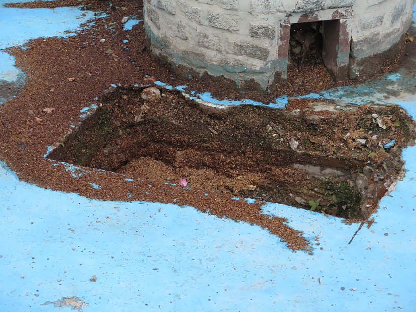 Ortstermin im Rosengarten