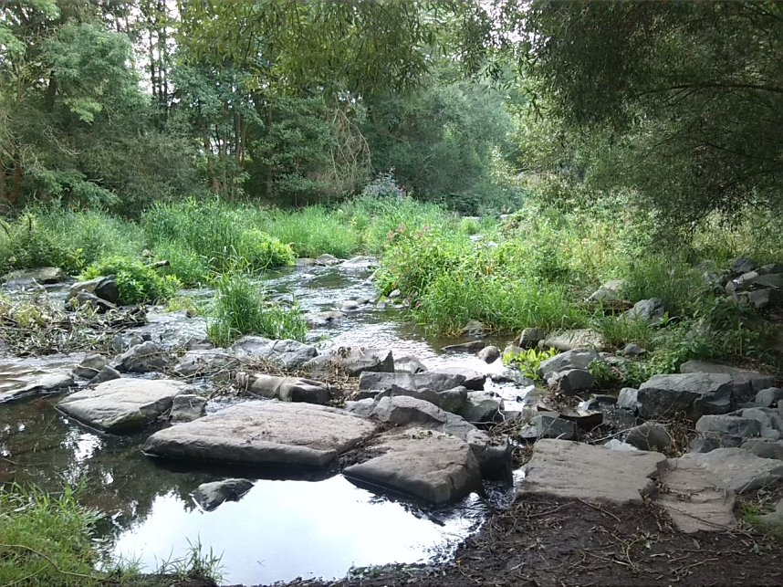 Exkursion entlang der Zorge