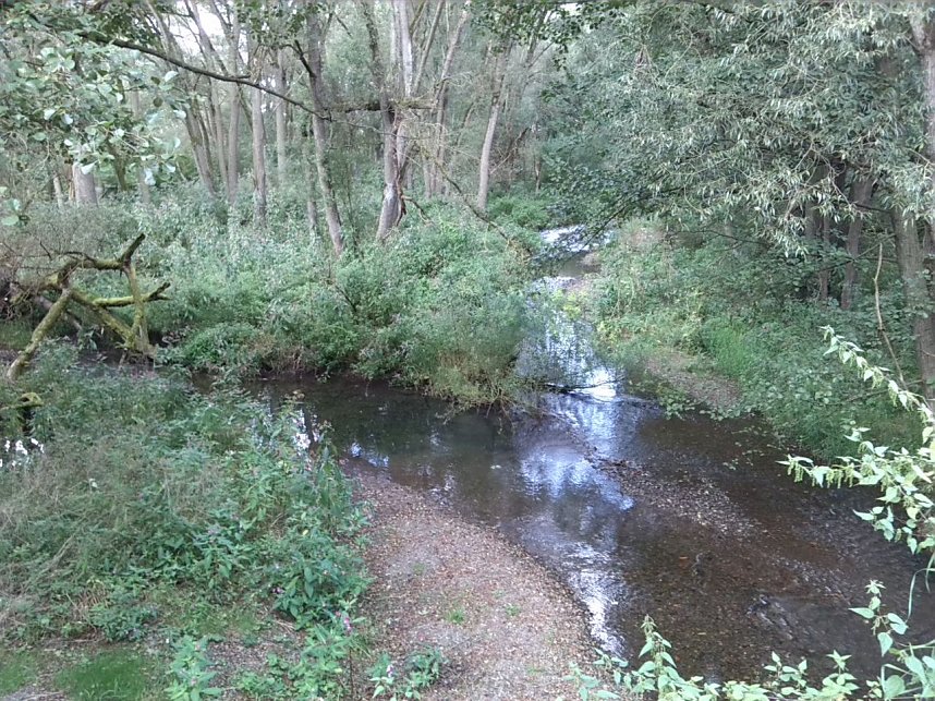 Exkursion entlang der Zorge