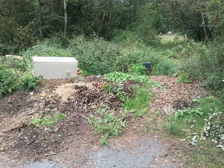 Exkursion entlang der Zorge