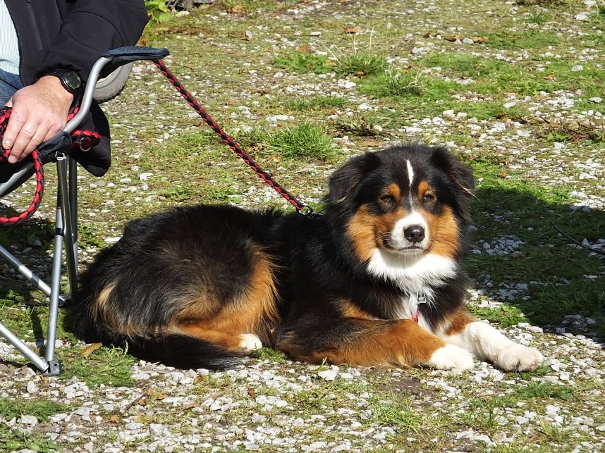 EVN-Party - der Nachmittag