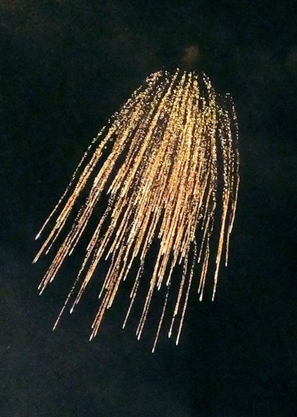 EVN-Party - der Abend