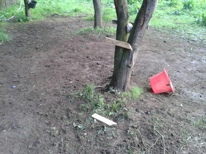 Verw&uuml;stete Koppel