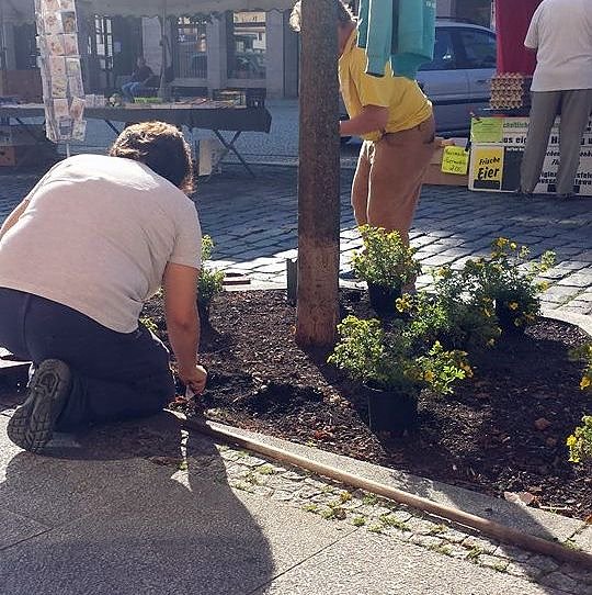 Arbeiten am Zierbrunnen
