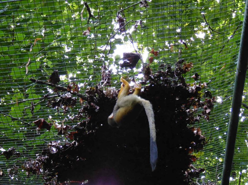 Besuch im Zoo von Aschersleben