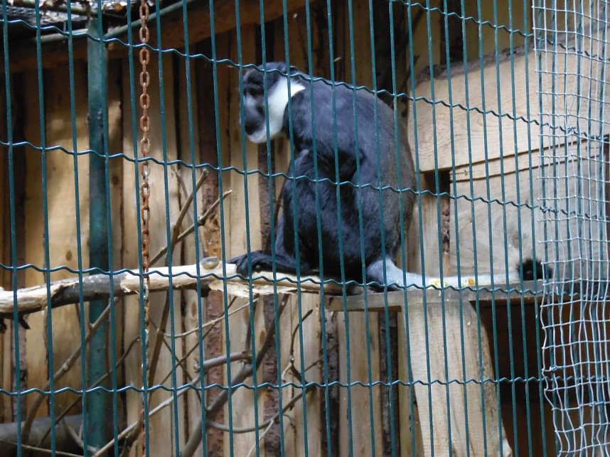 Besuch im Zoo von Aschersleben