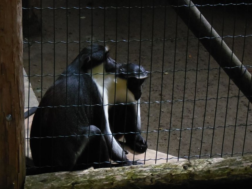 Besuch im Zoo von Aschersleben