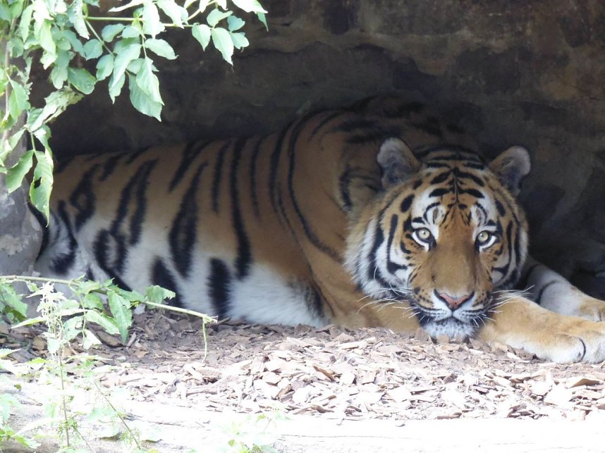 Besuch im Zoo von Aschersleben