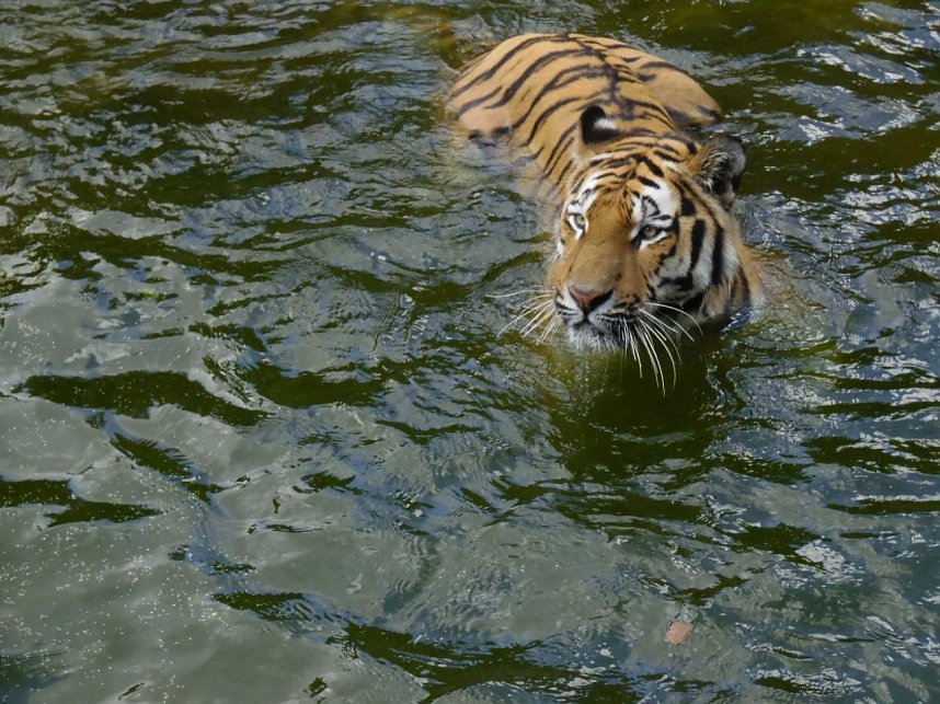 Besuch im Zoo von Aschersleben