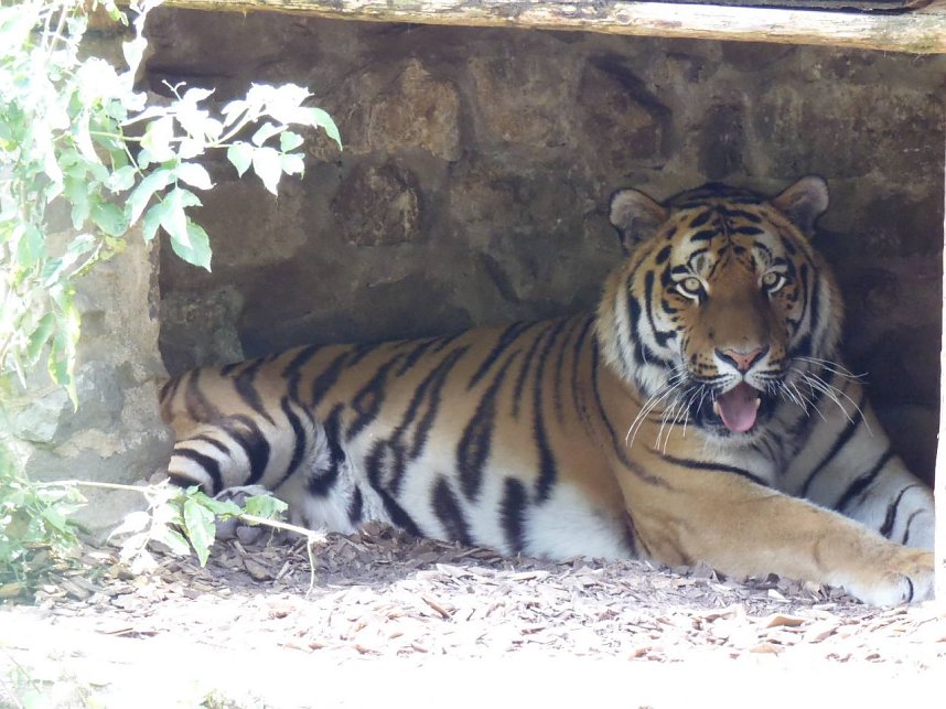 Besuch im Zoo von Aschersleben