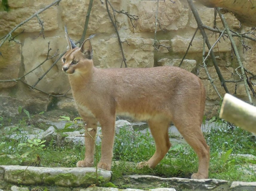 Besuch im Zoo von Aschersleben