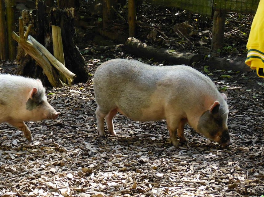 Besuch im Zoo von Aschersleben