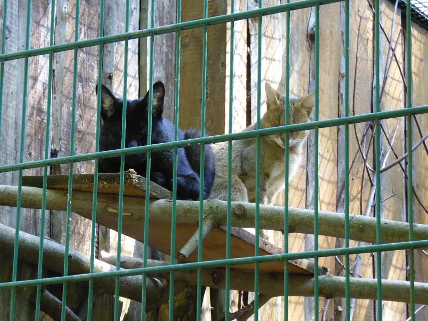 Besuch im Zoo von Aschersleben