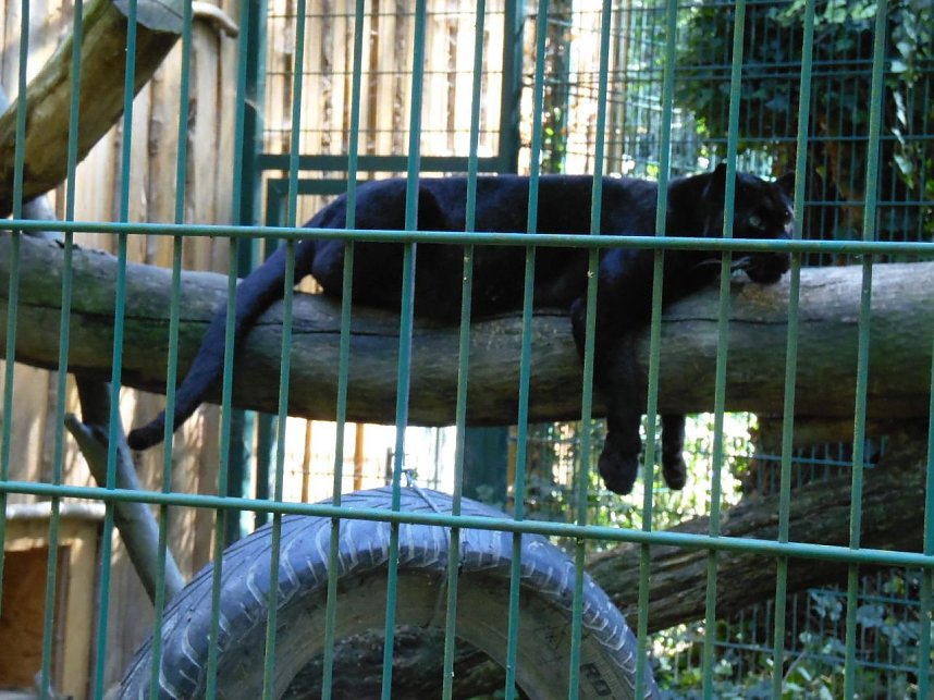 Besuch im Zoo von Aschersleben
