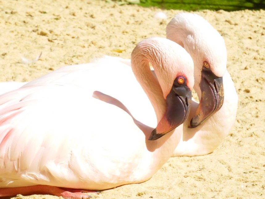 Besuch im Zoo von Aschersleben