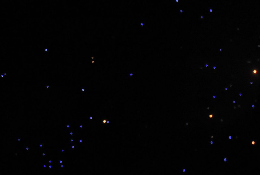 Lichterfest auf dem Petersberg