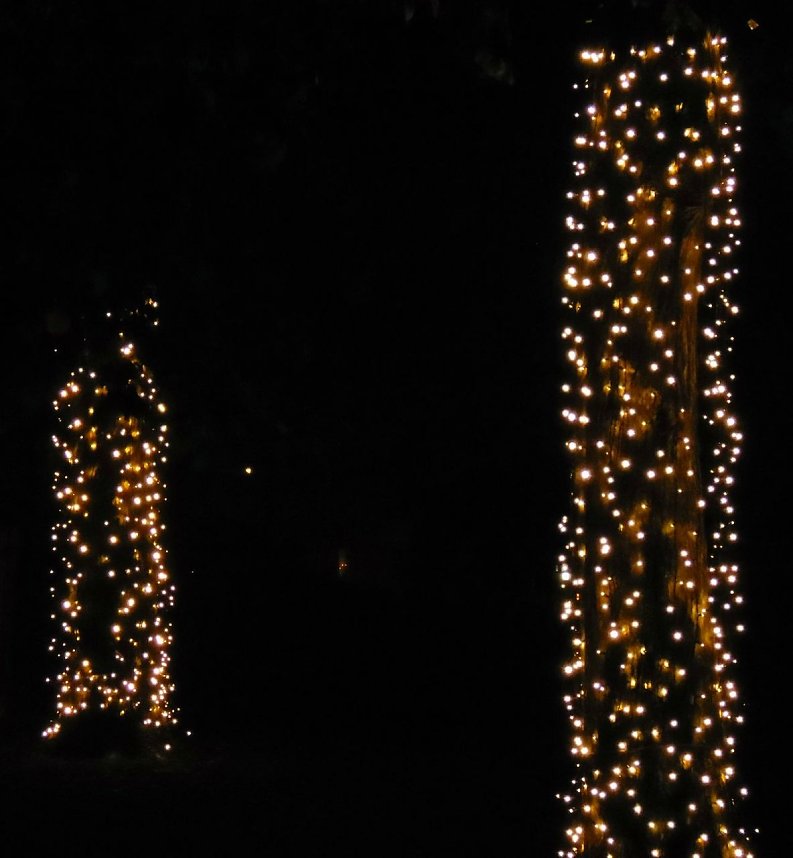 Lichterfest auf dem Petersberg