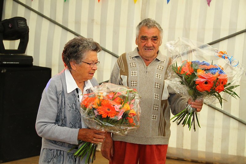 20. Koloniefest in Sollstedt