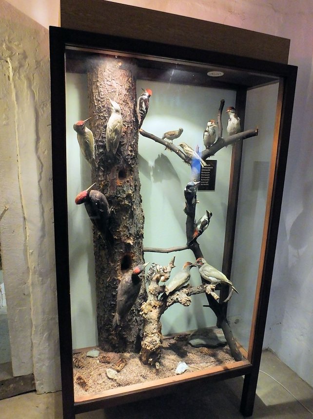 Sch&auml;tze im Schloss Ballenstedt