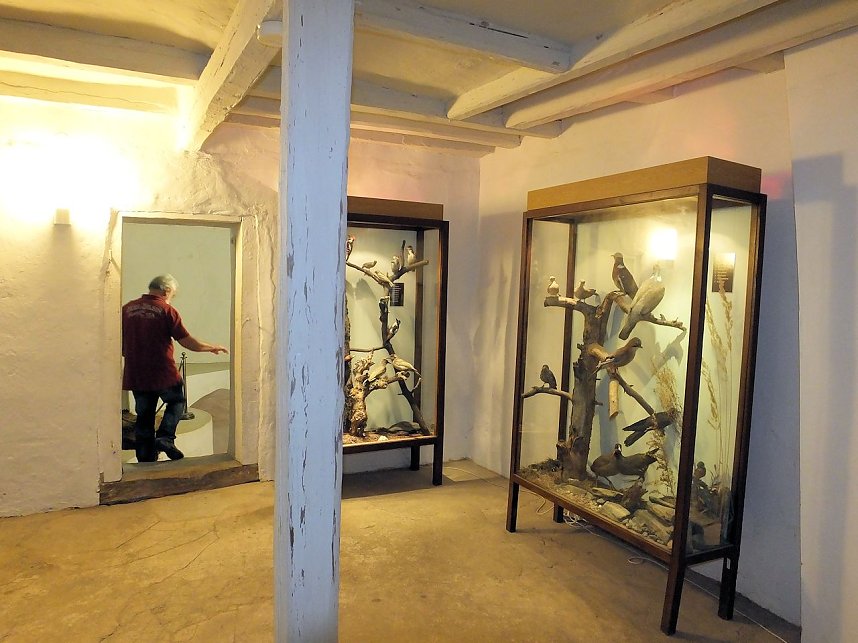 Sch&auml;tze im Schloss Ballenstedt