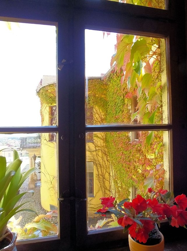 Sch&auml;tze im Schloss Ballenstedt